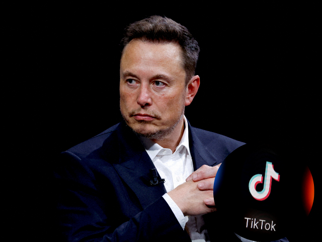 Elon Musk dismisses TikTok acquisition plans